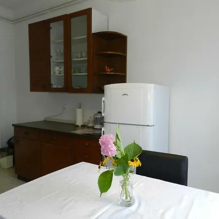 With Free Car Parking, Wifi And Bikes For Free Apartment Laibach