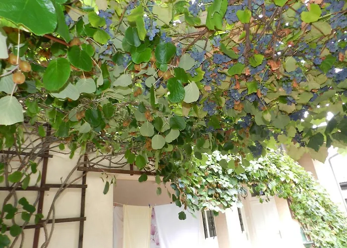 With Free Car Parking, Wifi And Bikes For Free לובליאנה