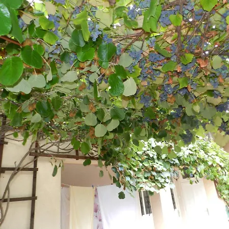 With Free Car Parking, Wifi And Bikes For Free Ljubljana